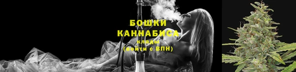 гидропоника Бугульма