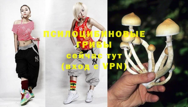 jwh Верхний Тагил