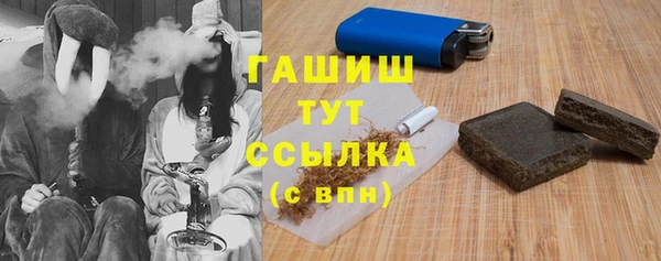 PSILOCYBIN Верея