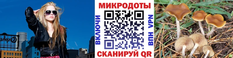 Купить где  Свободный  Галлюциногенные грибы мицелий 